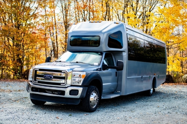 Ford F550 - Gray 2